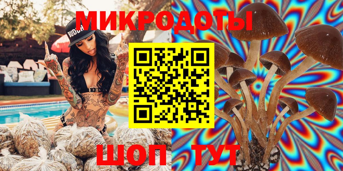 Галлюциногенные грибы MAGIC MUSHROOMS Черногорск